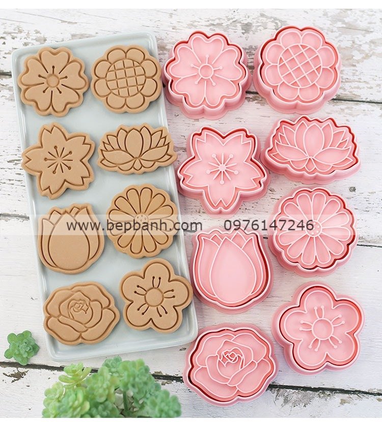 Bộ 8 nhấn nhựa bánh quy hồng Hoa B112