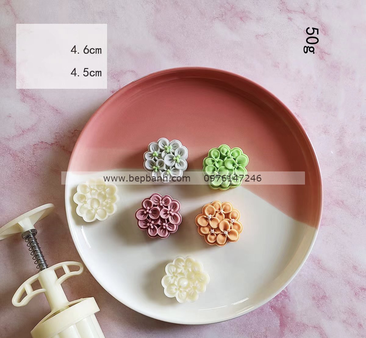 Khuôn lò xo 50gr 2 mặt cẩm tú cầu